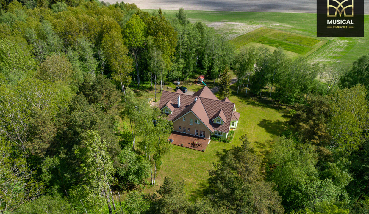 DJI_0016