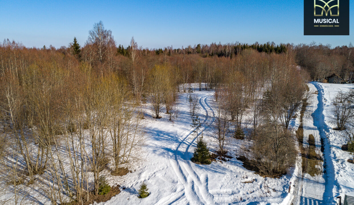DJI_0002