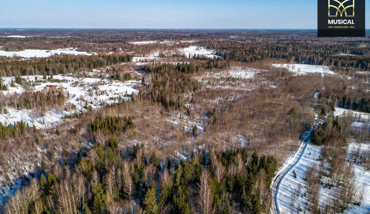 DJI_0017