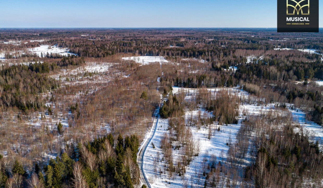 DJI_0018
