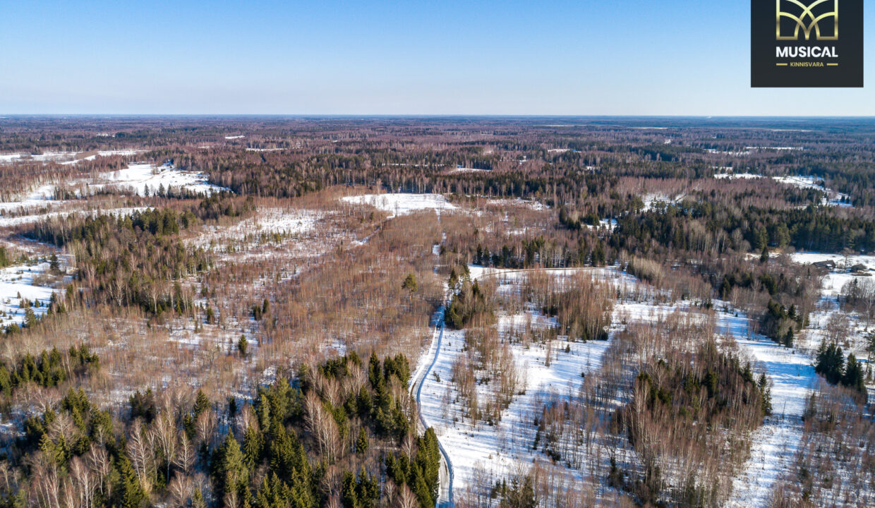 DJI_0028