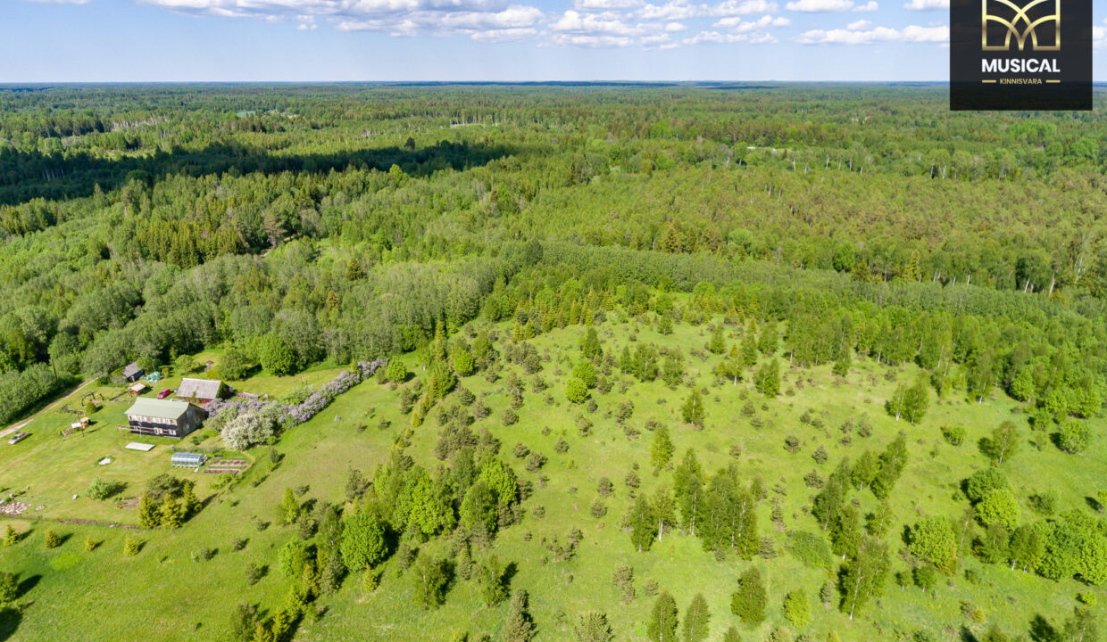 DJI_0115