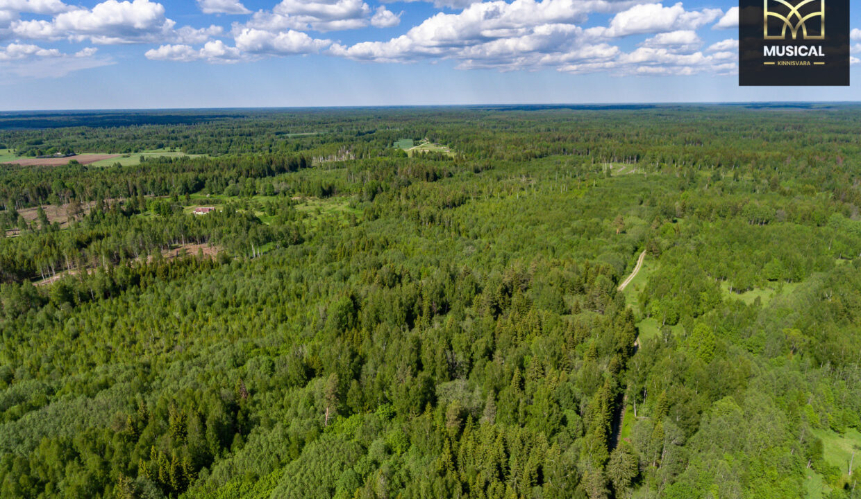 DJI_0122