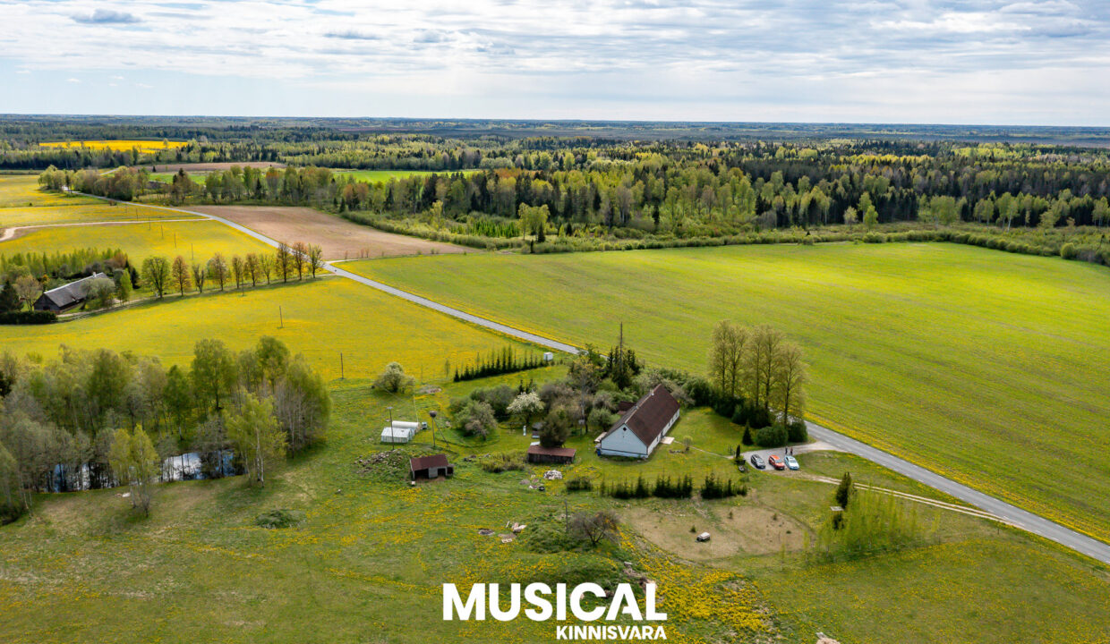 DJI_0137