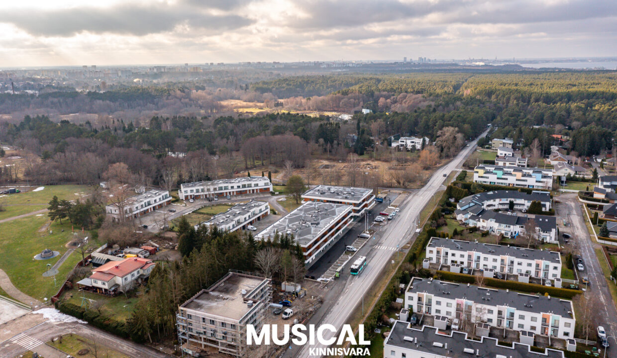 DJI_0216